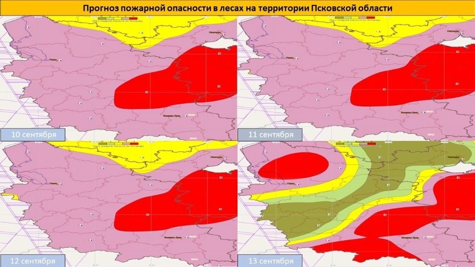 На западе Псковской области установился пятый класс пожарной опасности 