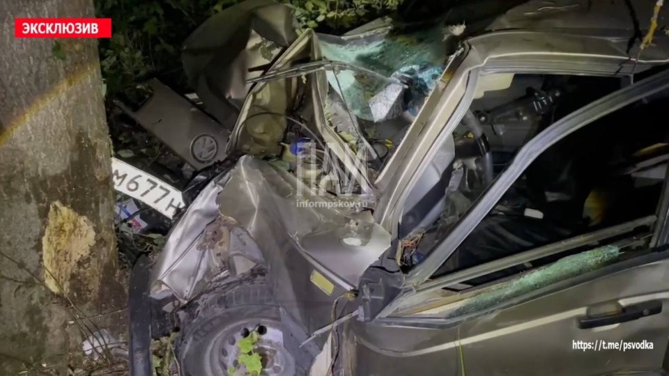 Водителя госпитализировали в результате ДТП с участием лося в Островском районе Водителя госпитализировали в результате ДТП с участием лося в Островском районе