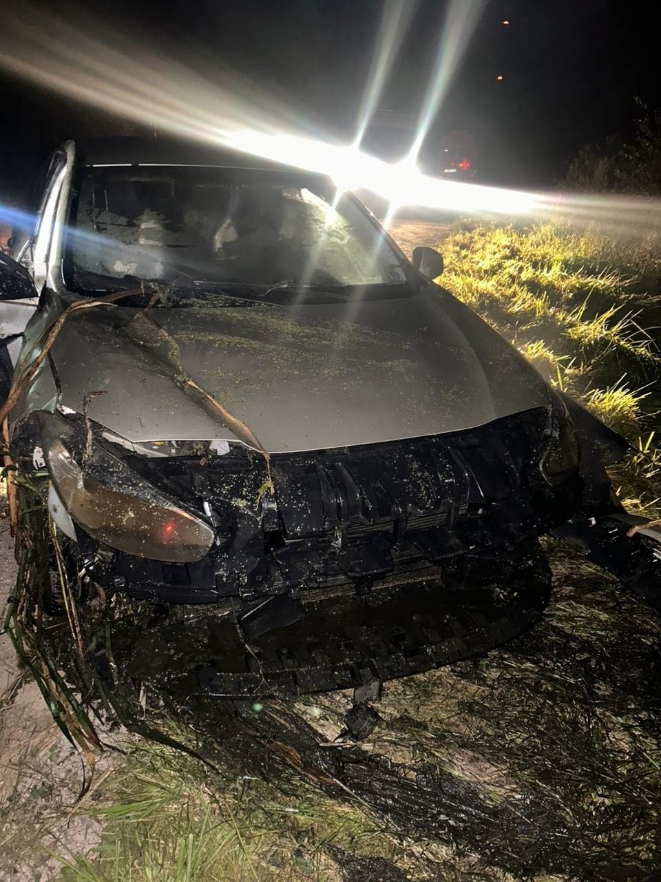 Водитель иномарки захлебнулся в результате ДТП в Псковской области Водитель иномарки захлебнулся в результате ДТП в Псковской области