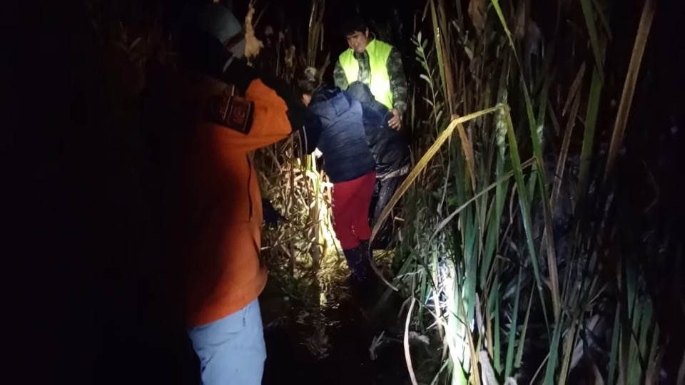 Пропавшую в лесу под Псковом 84-летнюю бабушку обнаружили по пояс в болоте Пропавшую в лесу под Псковом 84-летнюю бабушку обнаружили по пояс в болоте