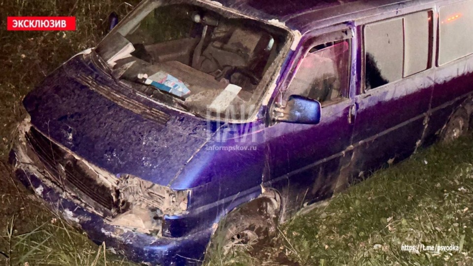 Лось погиб в результате ДТП с фурой на трассе в Великолукском районе Лось погиб в результате ДТП с фурой на трассе в Великолукском районе