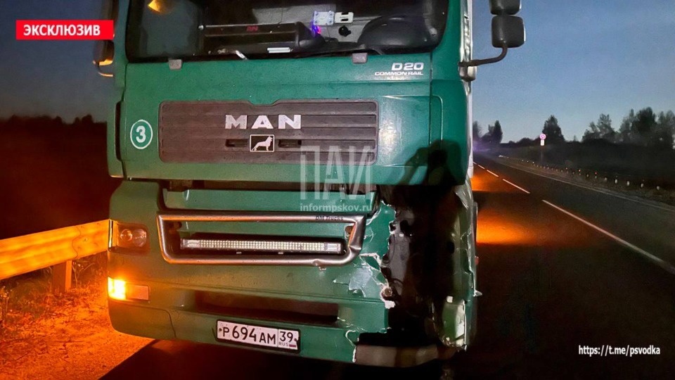 Лось погиб в результате ДТП с фурой на трассе в Великолукском районе Лось погиб в результате ДТП с фурой на трассе в Великолукском районе