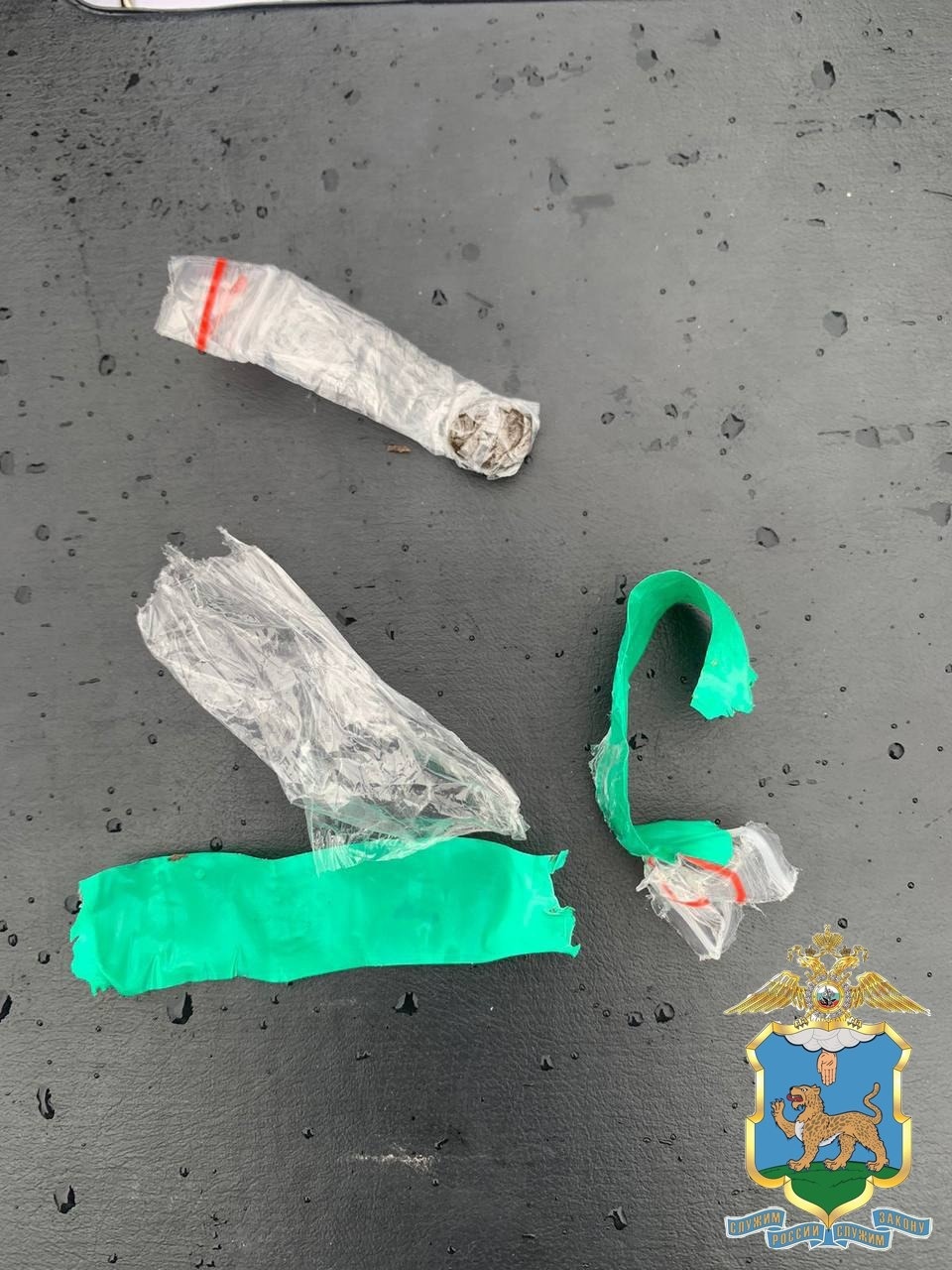 В Псковской области многодетная мать сбывала наркотики через тайники