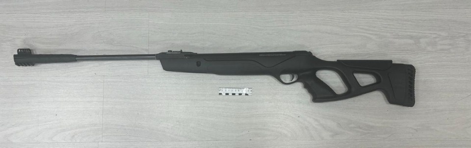 Псковичу грозит до четырех лет колонию за продажу пневматической винтовки