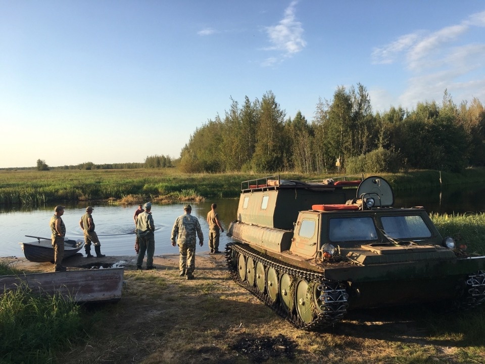 В рыбе из озера Полисто в Бежаницком районе обнаружили личинки паразитных червей В рыбе из озера Полисто в Бежаницком районе обнаружили личинки паразитных червей