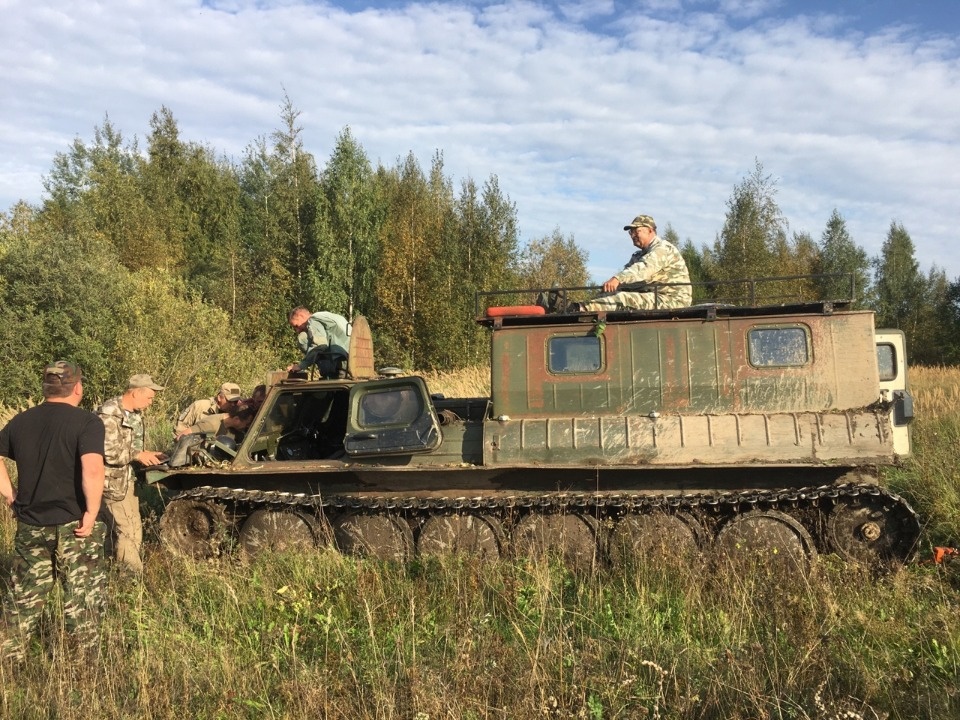 В рыбе из озера Полисто в Бежаницком районе обнаружили личинки паразитных червей В рыбе из озера Полисто в Бежаницком районе обнаружили личинки паразитных червей