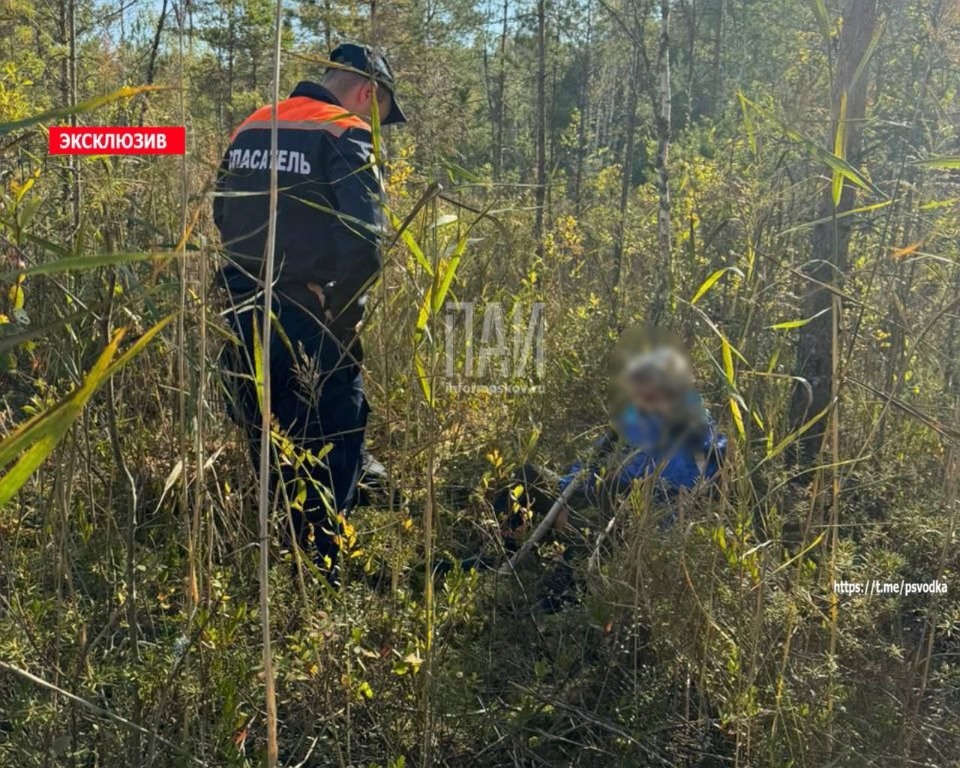В Псковском районе спасатели нашли заблудившуюся в лесу женщину В Псковском районе спасатели нашли заблудившуюся в лесу женщину