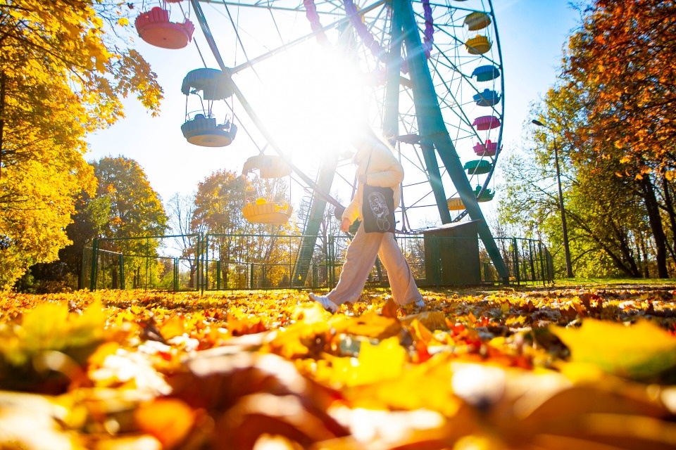 До +24 градусов ожидается в Псковской области 24 сентября