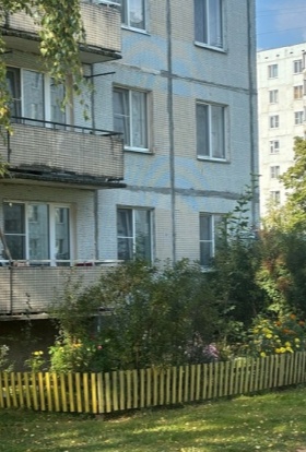 Цветы у дома