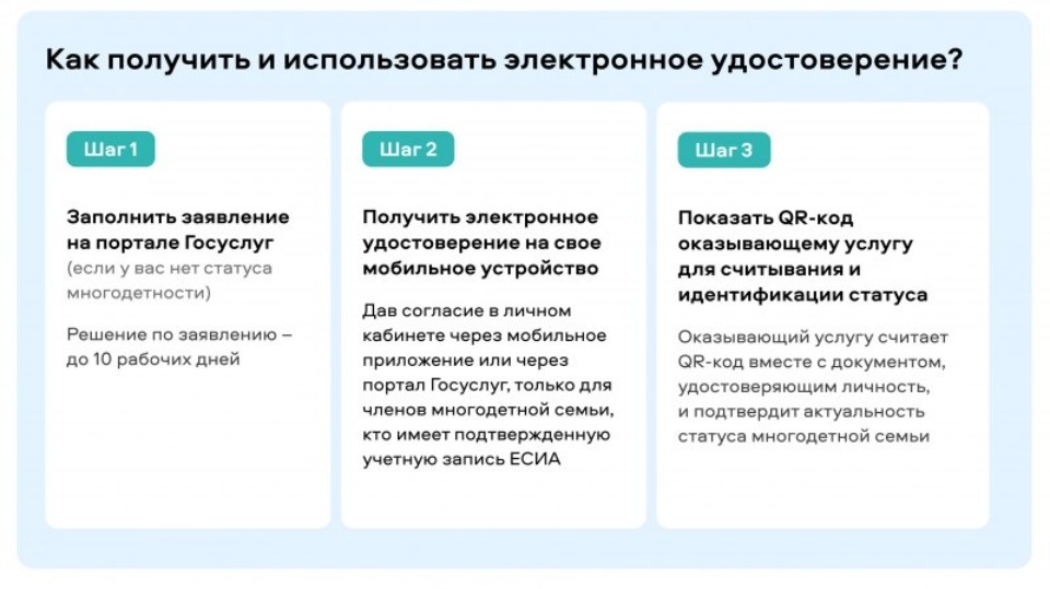 Цифровое удостоверение для многодетных семей протестируют в Псковской области 