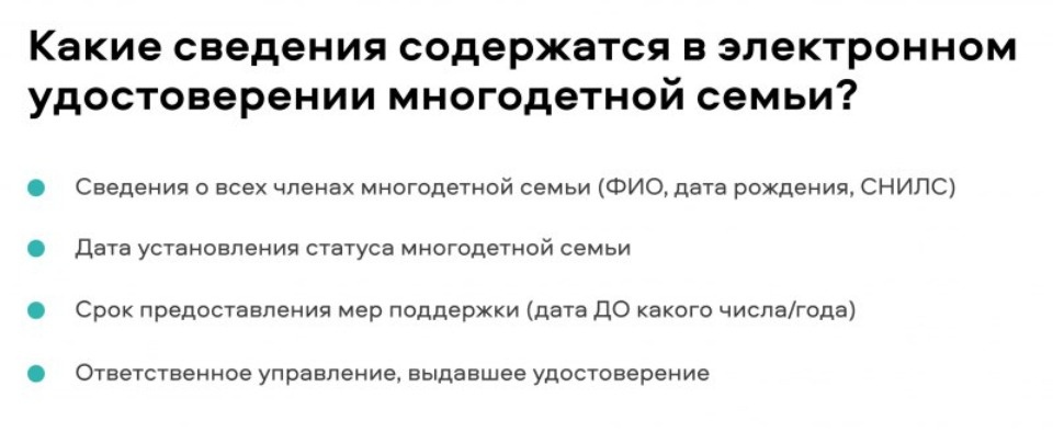 Цифровое удостоверение для многодетных семей протестируют в Псковской области 