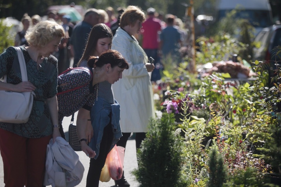Более 170 фермеров и предприятий станут участниками областной сельскохозяйственной ярмарке в Пскове