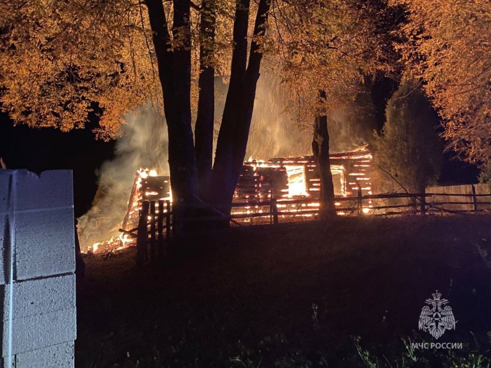 Мужчину госпитализировали в результате пожара в жилом доме в Новосокольническом районе