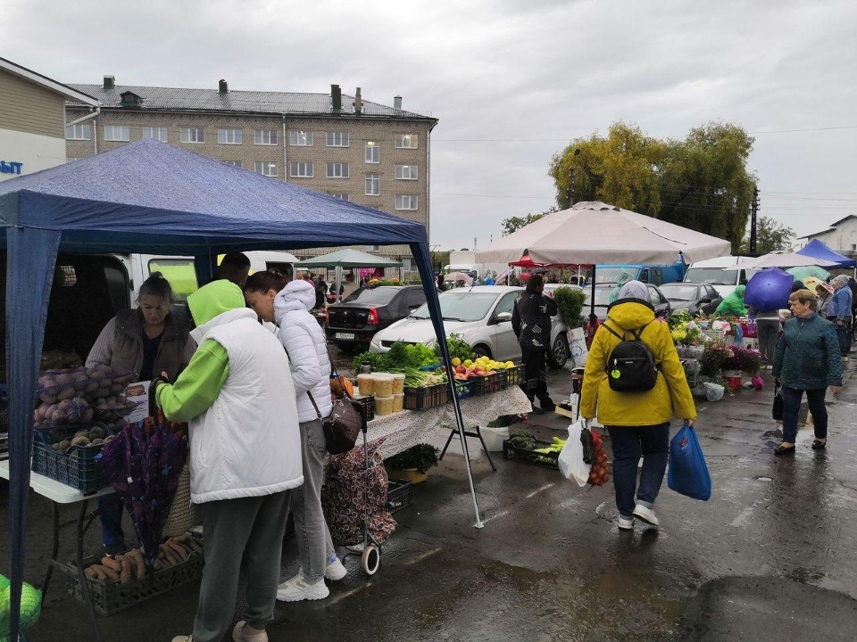 Более 60 тонн овощей и фруктов продали на областной сельхозярмарке в Пскове