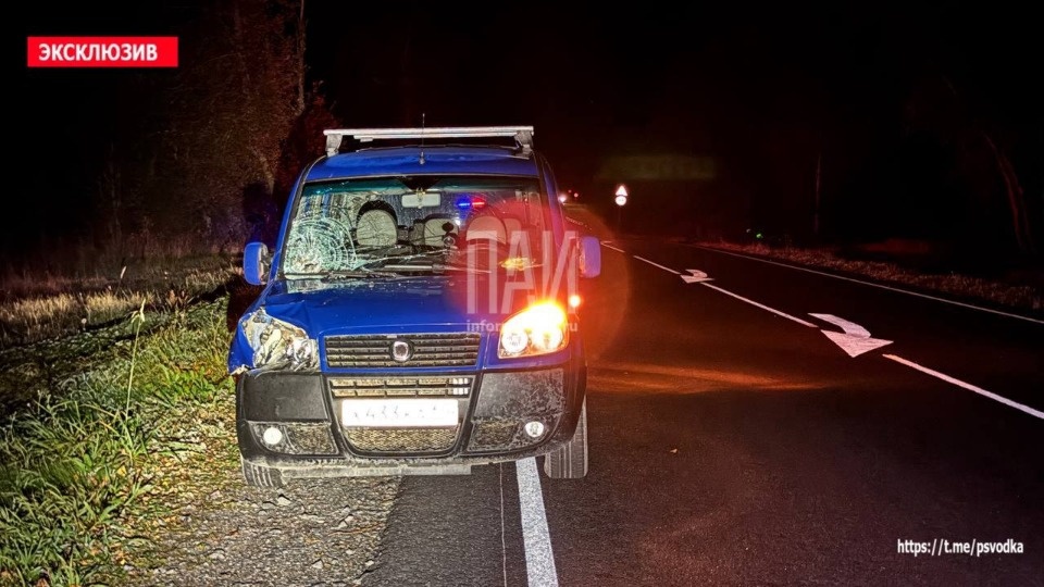 Женщину насмерть сбили на проезжей части в Псковском районе Женщину насмерть сбили на проезжей части в Псковском районе