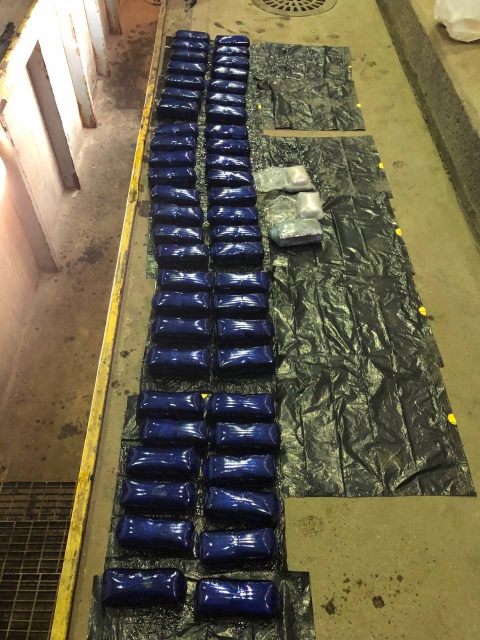 Иностранец отправится на 12,5 лет в колонию за контрабанду 50 кг марихуаны через госграницу РФ в Псковской области Иностранец отправится на 12,5 лет в колонию за контрабанду 50 кг марихуаны через госграницу РФ в Псковской области