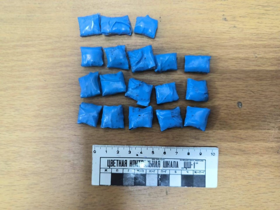 Иностранца осудили за попытку сбыта крупной партии наркотиков в Пскове Иностранца осудили за попытку сбыта крупной партии наркотиков в Пскове