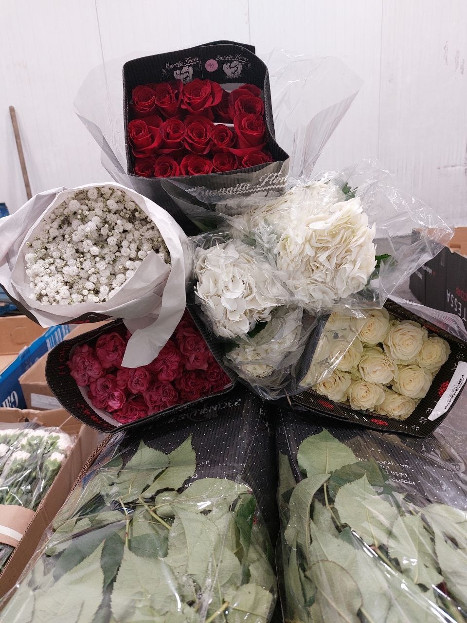 В Псковскую область ко Дню учителя поступили порядка 7 млн цветов В Псковскую область ко Дню учителя поступили порядка 7 млн цветов