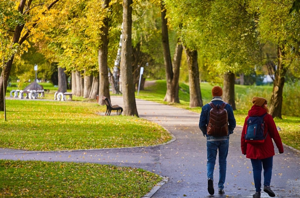 До +13 градусов прогреется воздух в Псковской области 8 октября