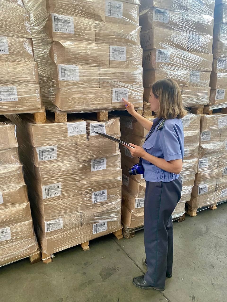 Почти 19 тысяч тонн животноводческой продукции эскортировали с территории Псковской области за девять месяцев