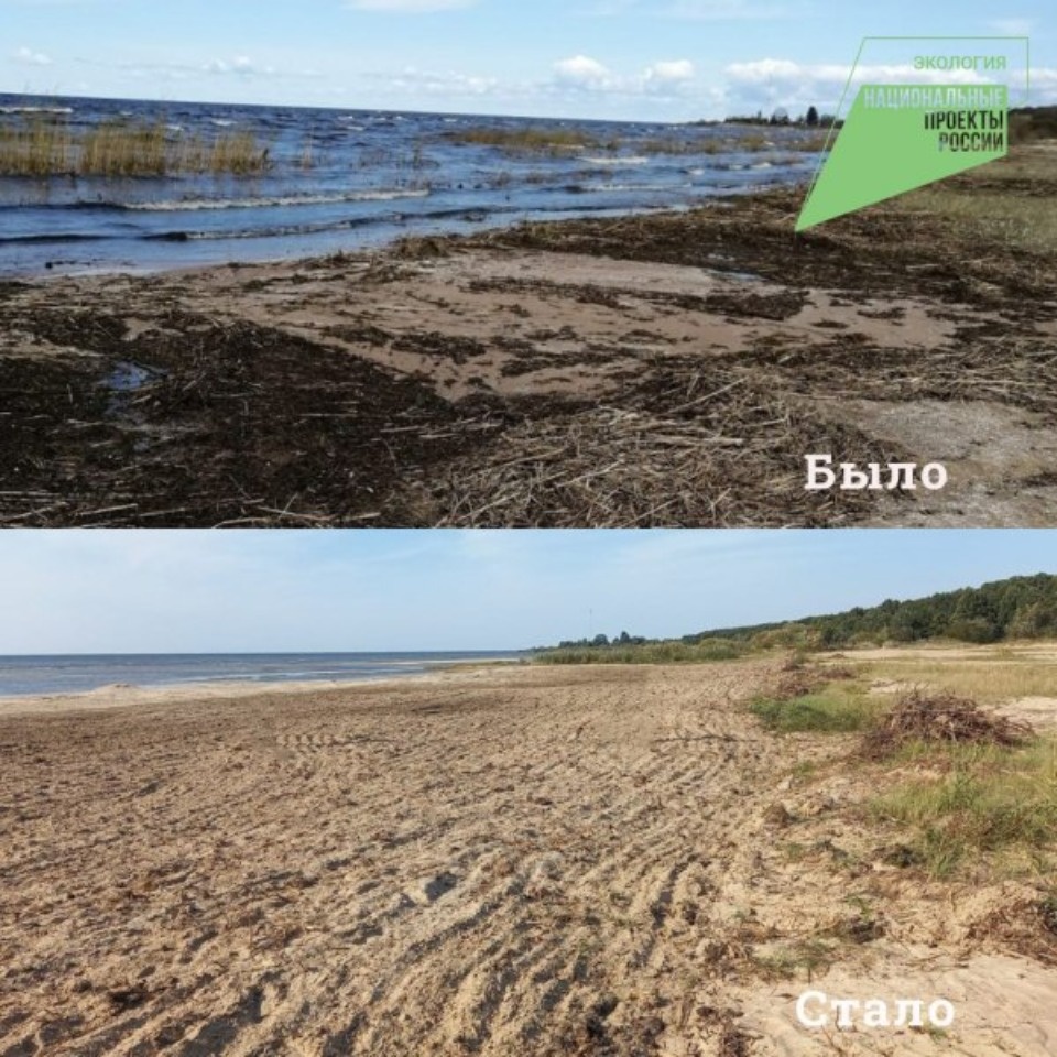 Расчистка Псковско-Чудского озера завершается в Гдовском районе по нацпроекту