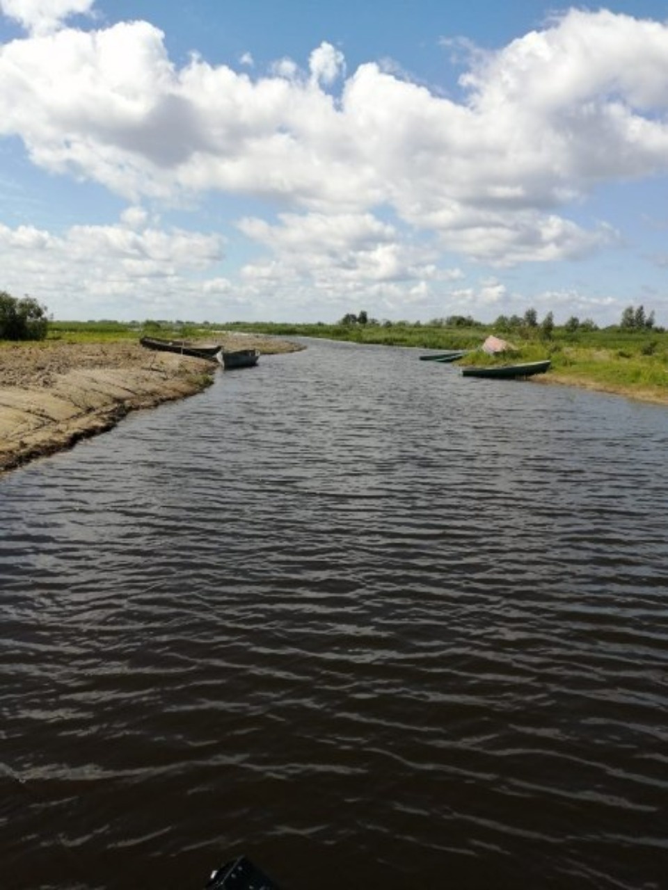 Расчистка Псковско-Чудского озера завершается в Гдовском районе по нацпроекту
