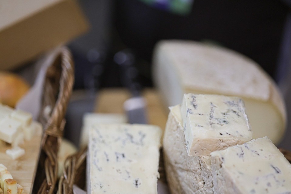 Псковские фермеры-сыроделы дали советы начинающим аграриям