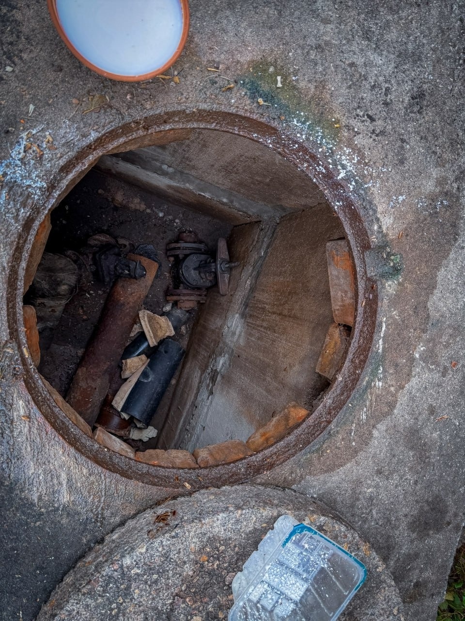 В Пскове местные жители превратили тепловую камеру на улице Рельсовой в питомник для тараканов