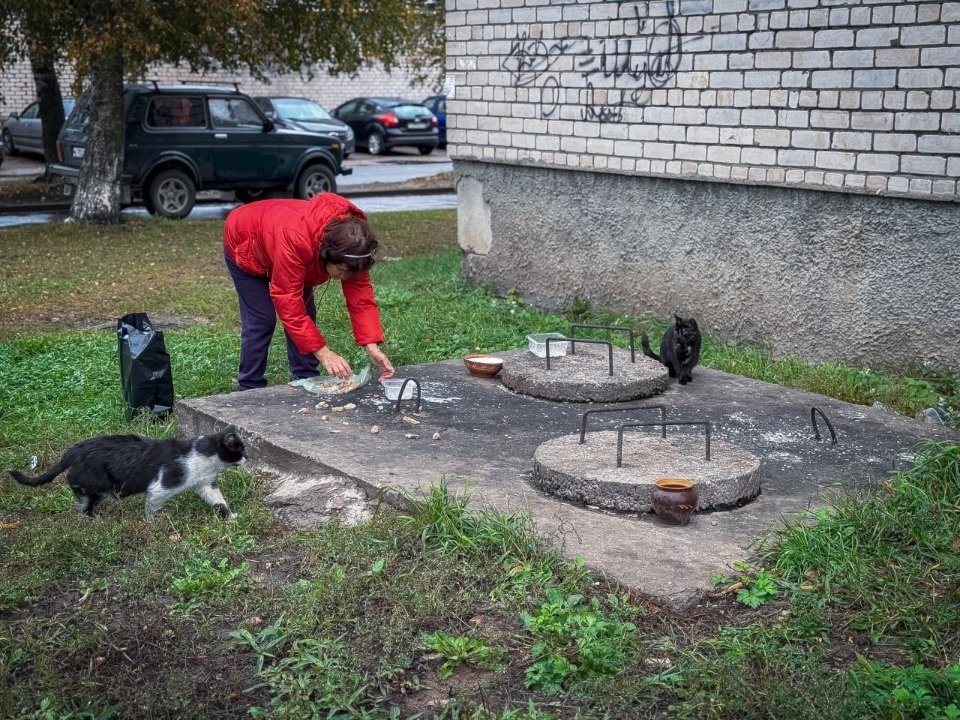 В Пскове местные жители превратили тепловую камеру на улице Рельсовой в питомник для тараканов