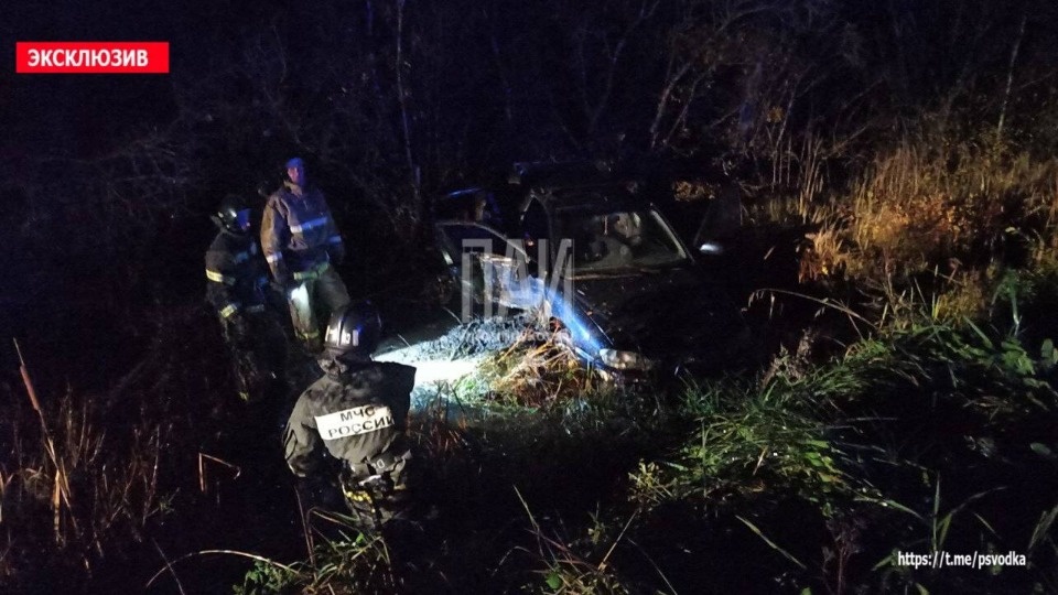 Смертельное ДТП с двумя погибшими и пьяным водителем произошло в Дновском районе Смертельное ДТП с двумя погибшими и пьяным водителем произошло в Дновском районе