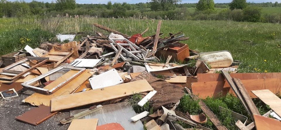 В Новосокольническом районе обнаружили несанкционированные свалки В Новосокольническом районе обнаружили несанкционированные свалки