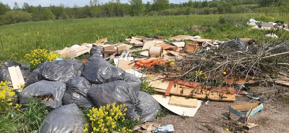 В Новосокольническом районе обнаружили несанкционированные свалки В Новосокольническом районе обнаружили несанкционированные свалки