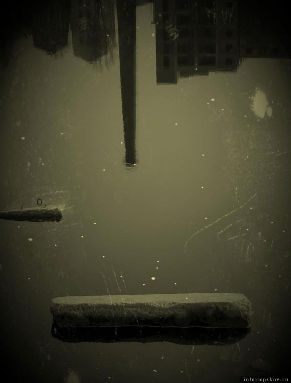 Фотограф из Псковской области стала финалистом общероссийского конкурса