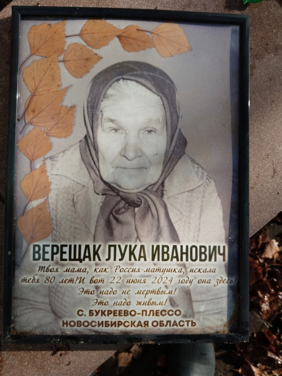 Портрет матери обнаружили на могиле погибшего в годы войны советского солдата в Себежском районе Портрет матери обнаружили на могиле погибшего в годы войны советского солдата в Себежском районе