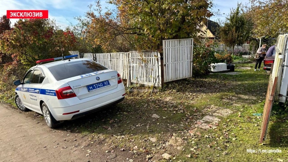 Пожилой мужчина переехал собственную жену под Великими Луками Пожилой мужчина переехал собственную жену под Великими Луками