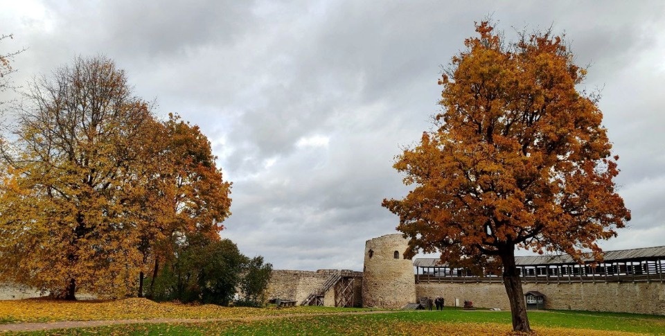 Музей-заповедник «Изборск» смогут бесплатно посещать многодетные семьи
