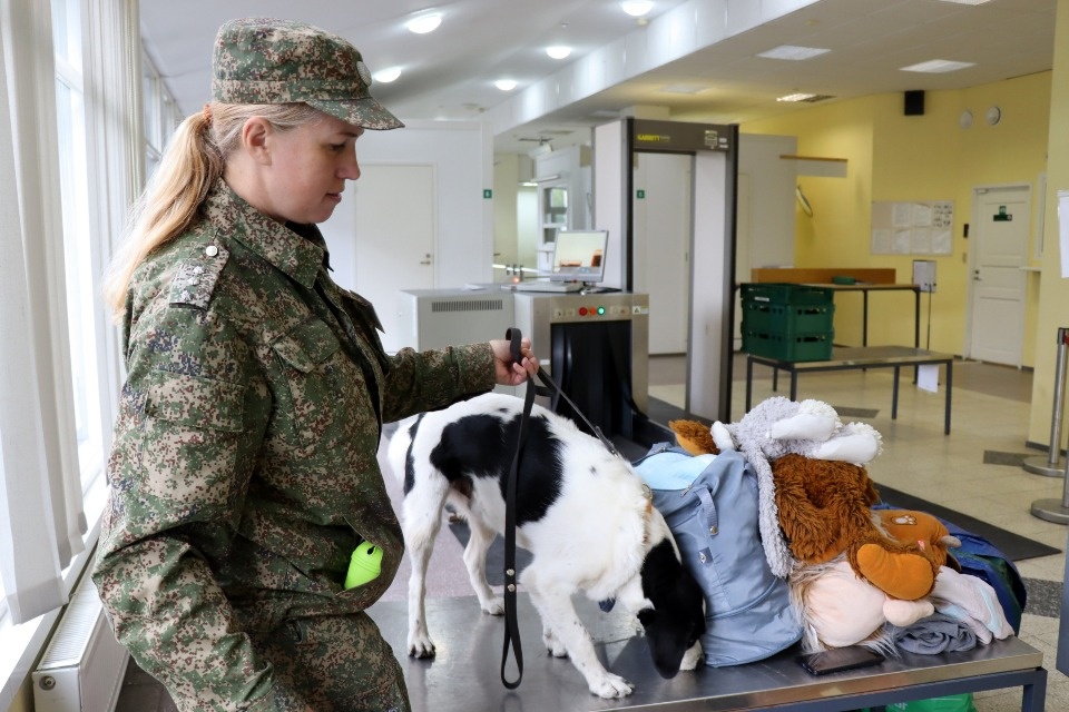 Губернатор Псковской области поздравил таможенников с профессиональным праздником 