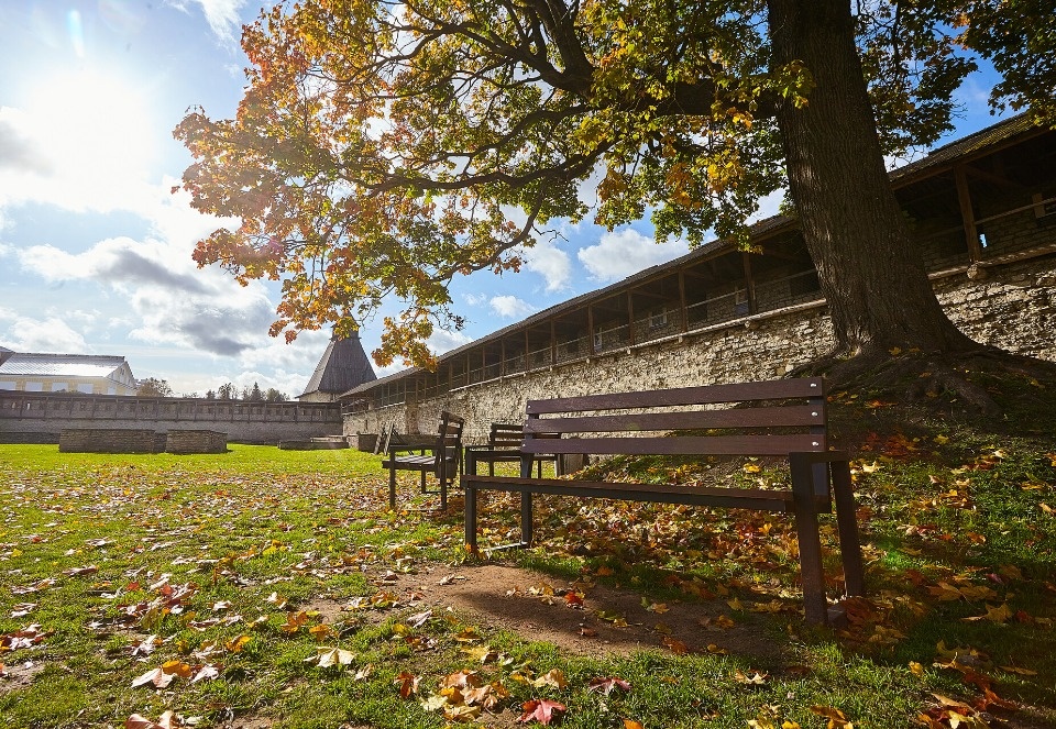 До +11 градусов прогреется воздух в Псковской области 29 октября