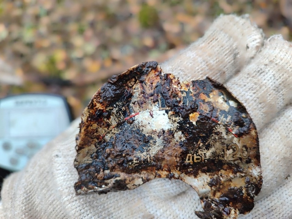 Поисковики обнаружили новые обломки советского самолета Ар-2 в Пыталовском районе