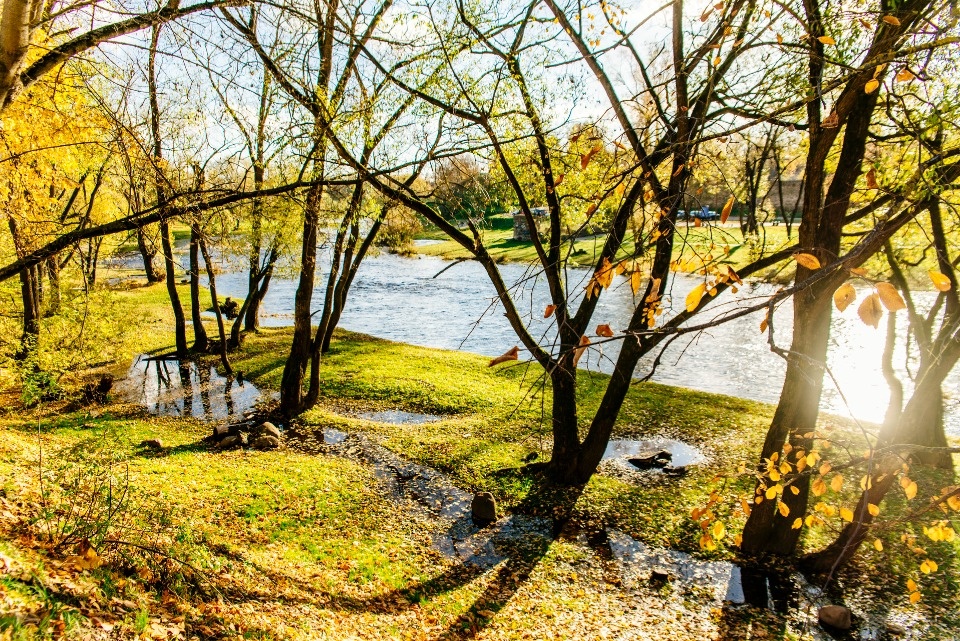 Небольшие дожди ожидаются в Псковской области 30 октября Небольшие дожди ожидаются в Псковской области 30 октября