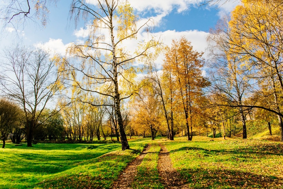 До +10 градусов ожидается в Псковской области 31 октября До +10 градусов ожидается в Псковской области 31 октября