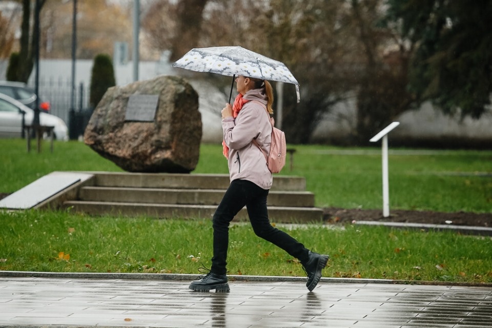 До +13 градусов прогнозируется в Псковской области 1 ноября