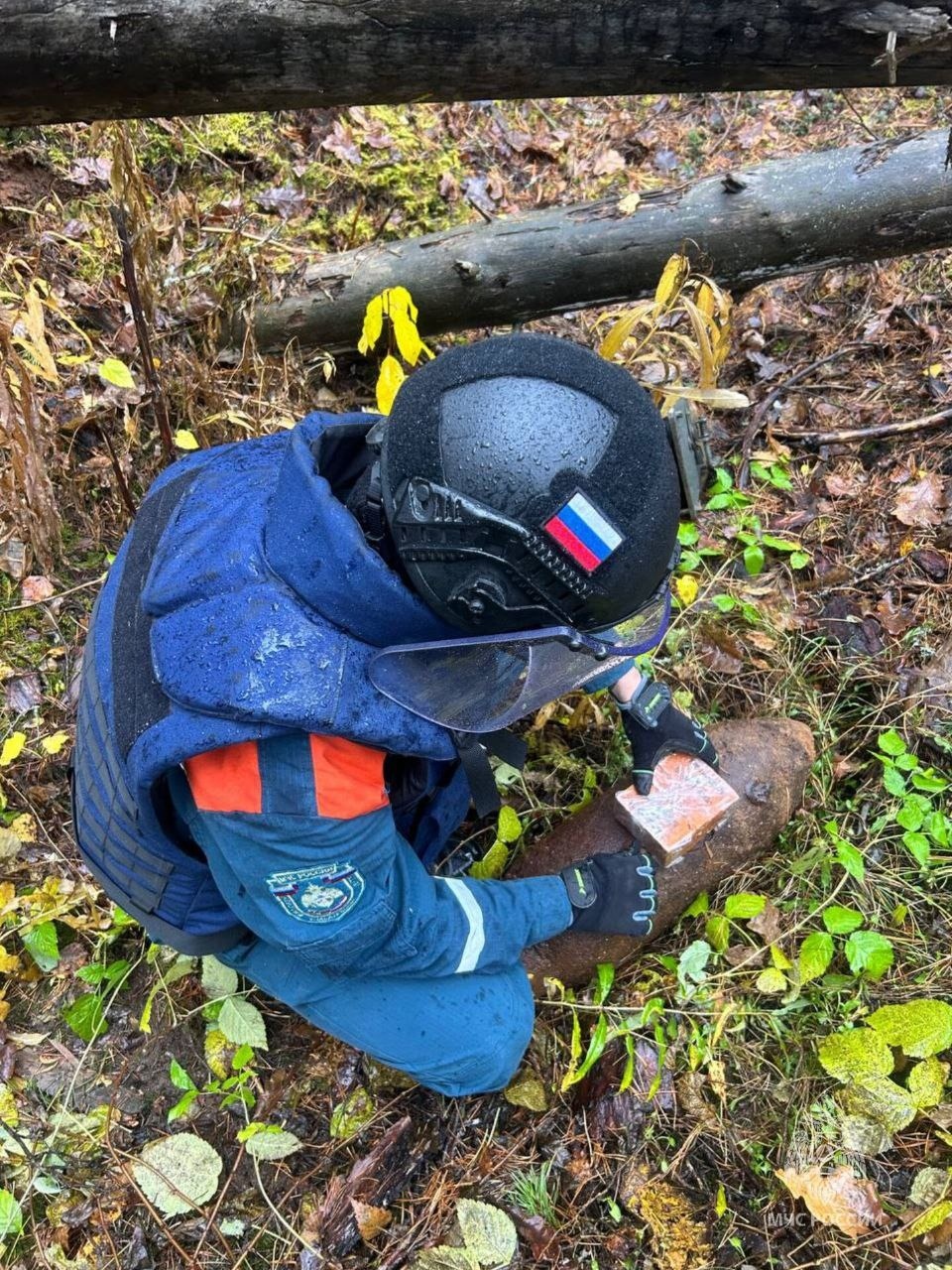 В Псковской области уничтожили авиабомбу времен Великой Отечественной войны