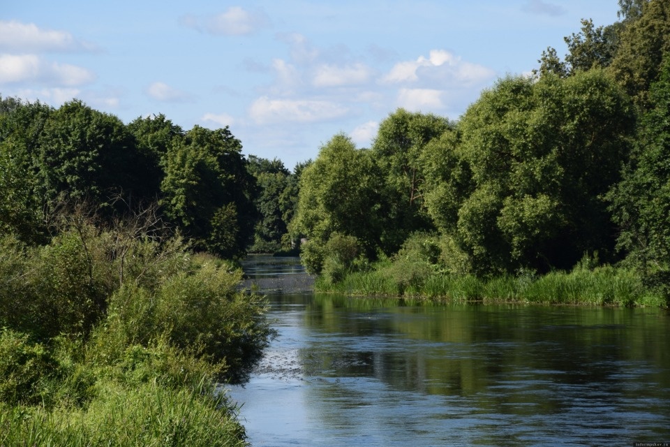В Опочке расчистят реку Великую В Опочке расчистят реку Великую