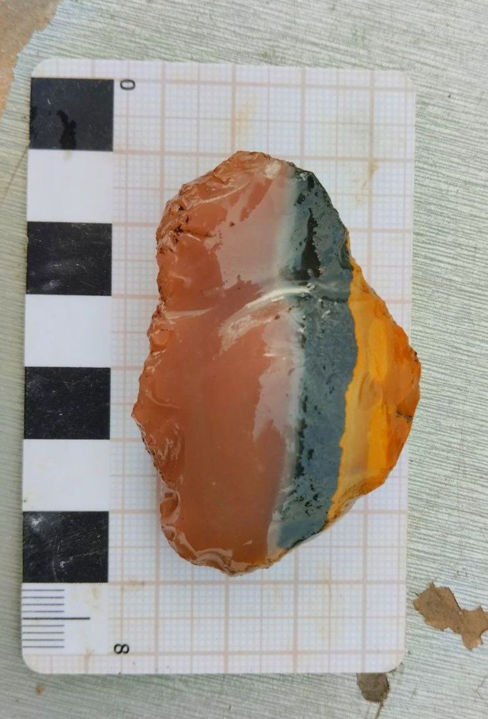 Створку старинной панагии обнаружили псковские археологи