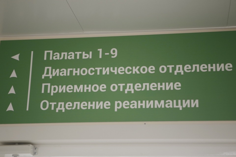 Псковские пульмонологи проведут прием в Великих Луках 16 ноября