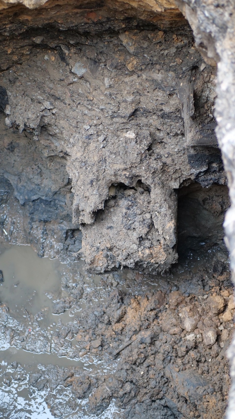 В Пскове обнаружили фрагмент деревянной линии канализации XVIII века