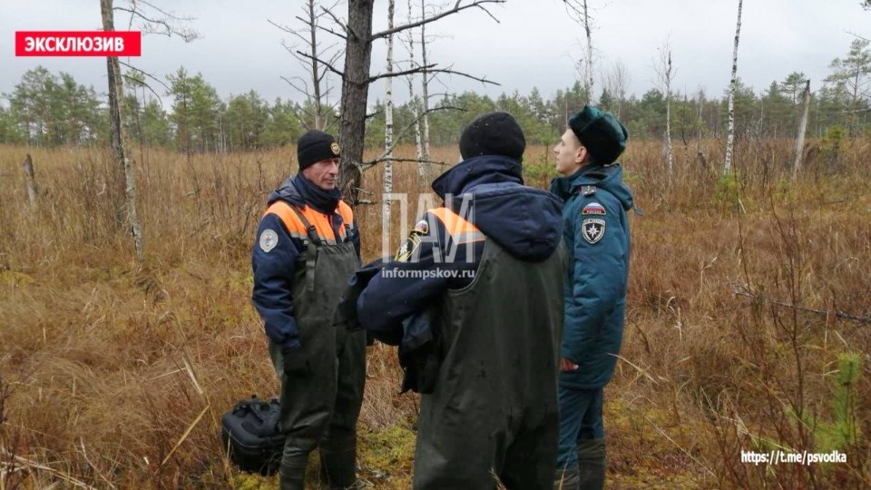 Тело пропавшего мужчины обнаружили спасатели в псковском лесу