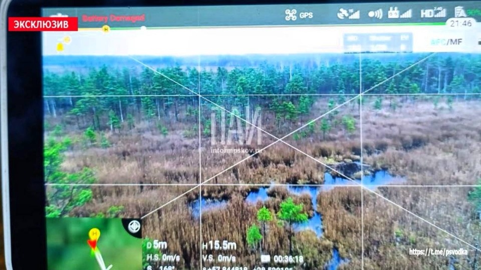 Тело пропавшего мужчины обнаружили спасатели в псковском лесу