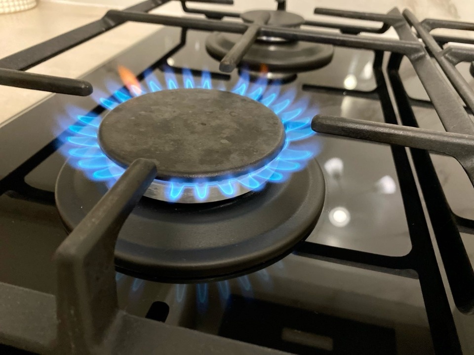С начала года псковские газовики провели техобслуживание газового оборудования в 114 тысячах квартир и домов